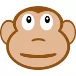 小猴子的脸